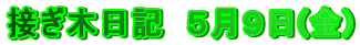 ڂؓL@TX()